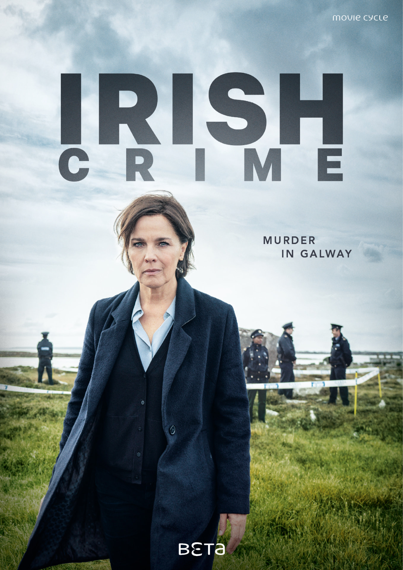 Der Irland-Krimi poster artwork