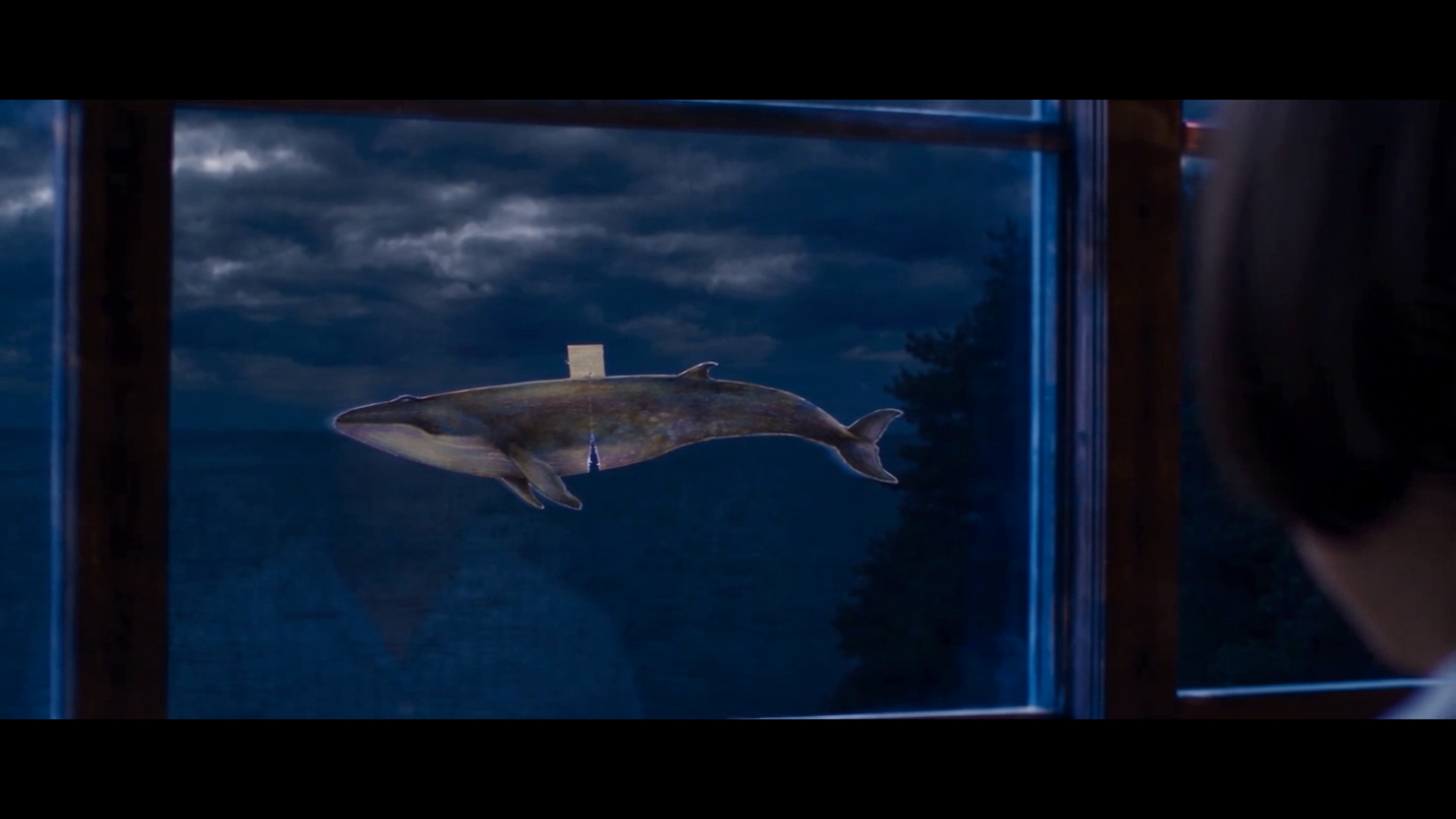 The patched whale swimming in open water